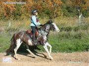 Veneta-Uzes-2021