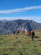 Descente-1ere-partie-12