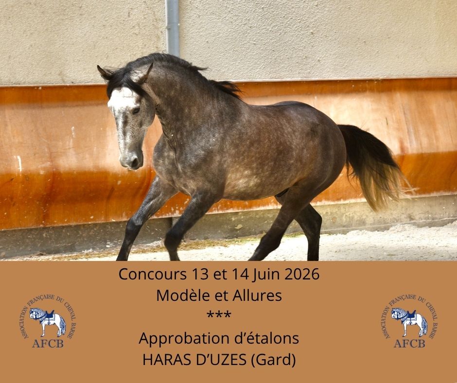 Concours 28 mars 2026